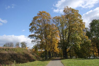 Sonbahar parkının arka sokağı, güneş ışığıyla kaplıydı.
