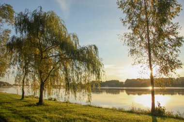 Sonbahar parkında göl