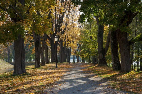 Аллея Осеннего Парка Пронизанная Солнечным Светом — стоковое фото