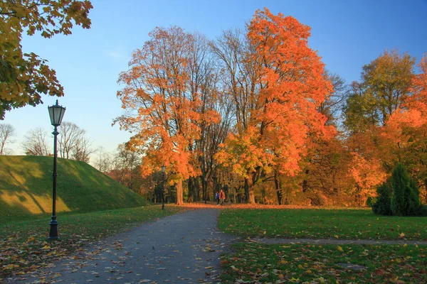 Aleja Jesiennym Parku Jesienią Upadek Autumnal Park Jesienne Drzewa Liście — Zdjęcie stockowe