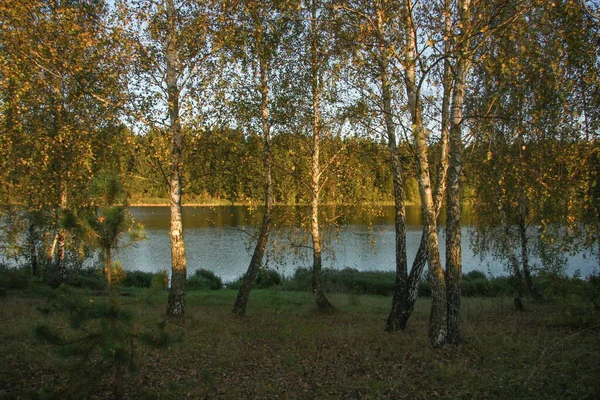 Ljusa Höstträd Nära Parken — Stockfoto