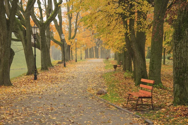 Aleja Jesiennym Parku Jesienią Upadek Autumnal Park Jesienne Drzewa Liście — Zdjęcie stockowe