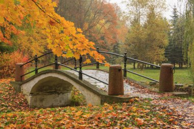 Sonbahar parkında köprü