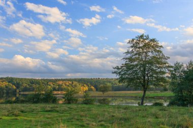 Bir göl ve bulutlu sonbahar manzarası
