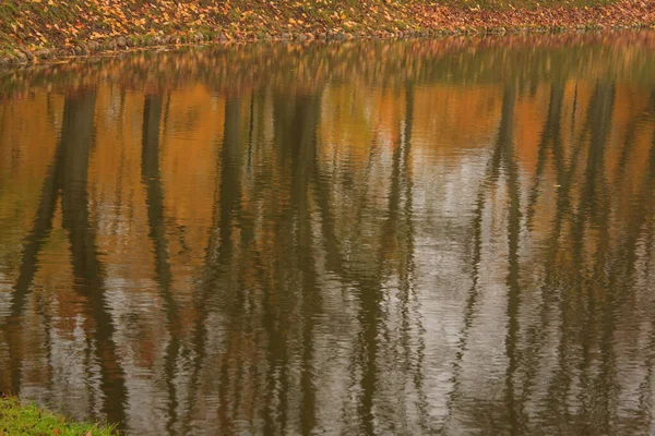 Teich Herbstpark — Stockfoto