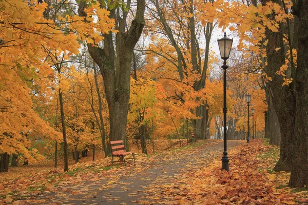 Aleja Jesiennym Parku Jesienią Upadek Autumnal Park Jesienne Drzewa Liście — Zdjęcie stockowe