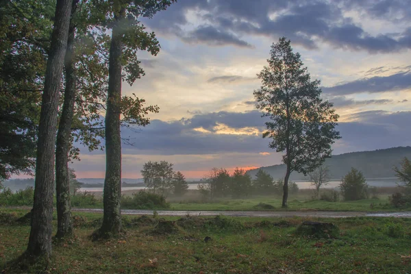 Осенний Пейзаж Лугом Деревьями Утренним Туманом — стоковое фото