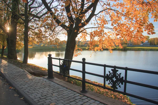 Озеро Осеннем Парке Осень Падение Осенний Парк Осенние Деревья Листья — стоковое фото