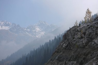 Sonbahar dağ manzarası. Kazakistan