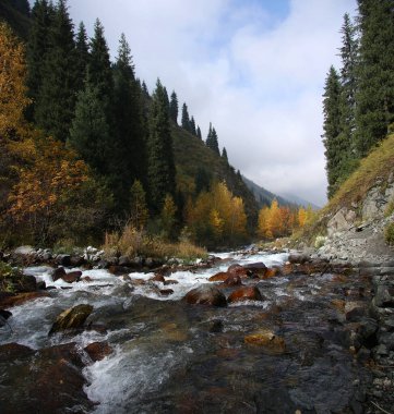 Nehirli sonbahar dağ manzarası. Kazakistan