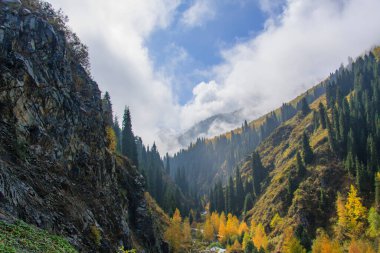 Nehirli sonbahar dağ manzarası. Kazakistan