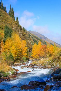 Nehirli sonbahar dağ manzarası. Kazakistan