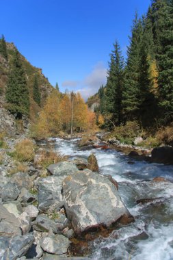 Nehirli sonbahar dağ manzarası. Kazakistan