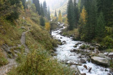 Nehirli sonbahar dağ manzarası. Kazakistan