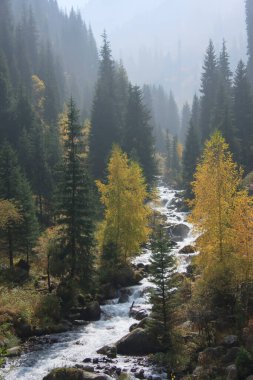 Nehirli sonbahar dağ manzarası. Kazakistan