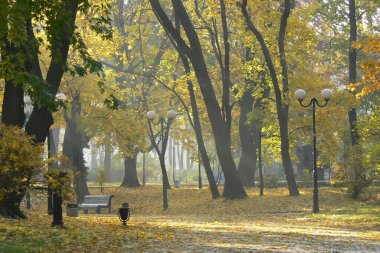 Sonbahar parkının arka sokağı. Sonbahar. Düş! Autumnal Park 'ta. Sonbahar Ağaçları ve Yaprakları