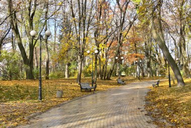 Sonbahar parkının arka sokağı. Sonbahar. Düş! Autumnal Park 'ta. Sonbahar Ağaçları ve Yaprakları