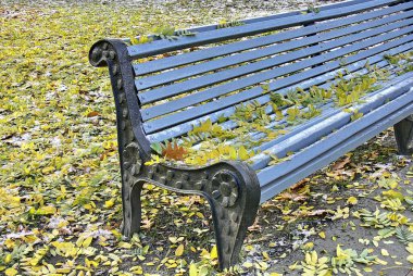 Sonbahar parkında bankta