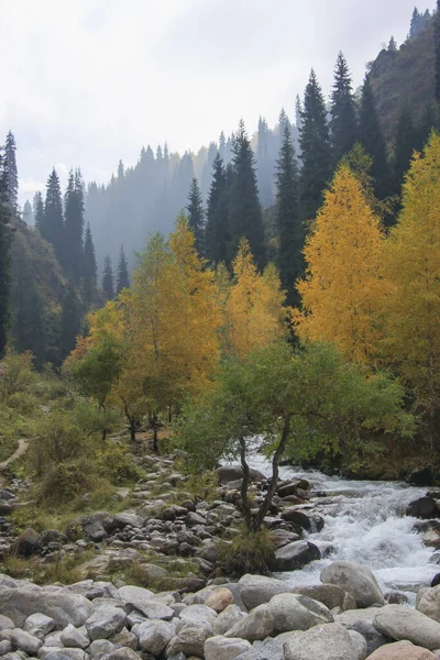 Autumn Mountain Landscape River Kazakhstan — Stock Photo, Image
