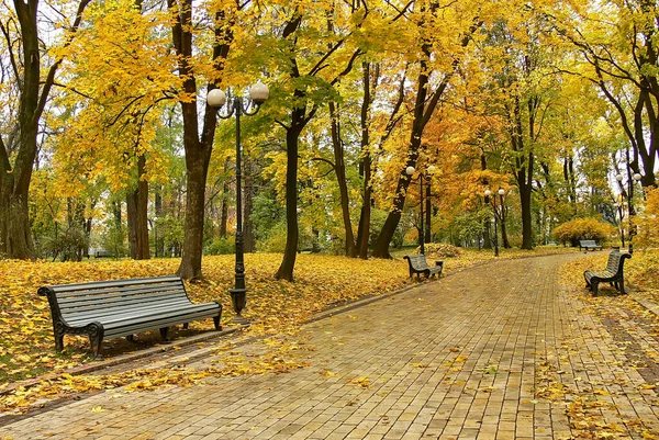 Aleja Jesiennego Parku Jesienią Upadek Autumnal Park Jesienne Drzewa Liście — Zdjęcie stockowe