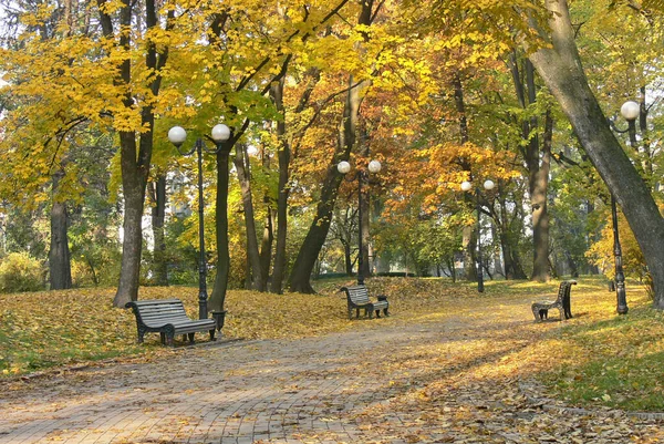 Aleja Jesiennego Parku Jesienią Upadek Autumnal Park Jesienne Drzewa Liście — Zdjęcie stockowe