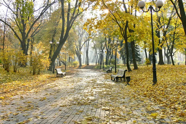 Aleja Jesiennego Parku Jesienią Upadek Autumnal Park Jesienne Drzewa Liście — Zdjęcie stockowe