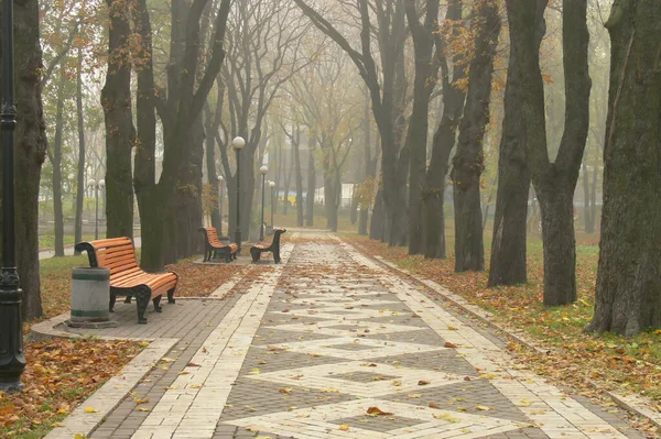 Aleja Jesiennego Parku Jesienią Upadek Autumnal Park Jesienne Drzewa Liście — Zdjęcie stockowe