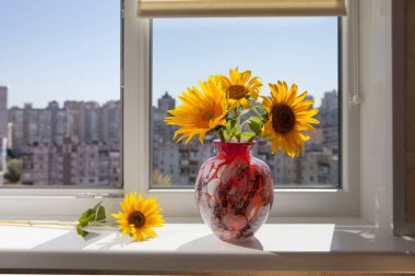 Pencere pervazında vazoda ayçiçekleri