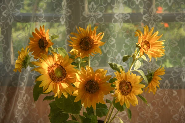 Sonnenblumenstrauß Sonnenlicht Nahaufnahme — Stockfoto