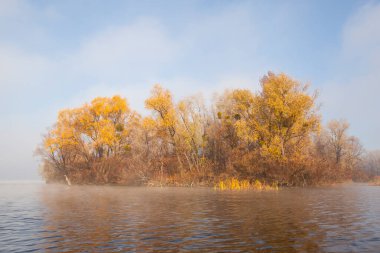 # Sarı sonbahar ağaçlarıyla kaplı nehir adası # # Sabah masmavi gökyüzünün arka planında #