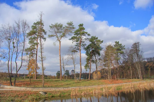 Őszi Park Egy Tóval — Stock Fotó