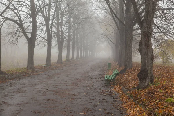 Осенняя Аллея Парка Тумане — стоковое фото