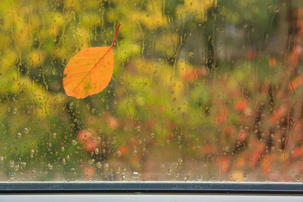 Daun Musim Gugur Dan Tetesan Hujan Jendela — Stok Foto