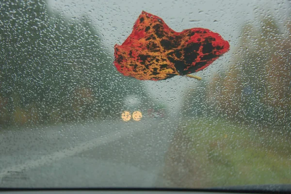 Umgefallenes Herbstblatt Auf Der Nassen Windschutzscheibe Des Autos — Stockfoto