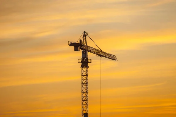 Żuraw Wieżowy Tle Jasnego Wieczornego Nieba — Zdjęcie stockowe
