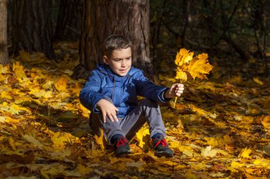 Sonbahar parkında düşen akçaağaç yapraklarının üzerinde oturan çocuk.