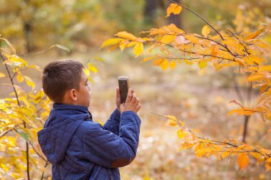 Parktaki sonbahar yaprakları üzerinde fotoğraf çeken çocuk.