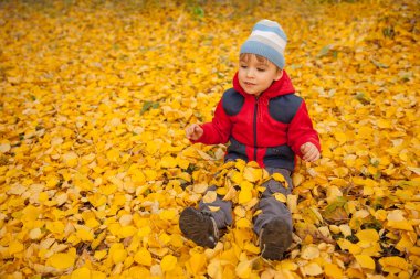 Sonbahar parkında düşen yaprakların üzerinde oturan mutlu çocuk.