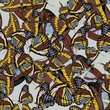 Kelebek desenli sorunsuz arka plan. Nymphalis IO, Parnassius apollo, Acherontia atropos, Papilio machaon. Grafik sanatı. Elle çizilmiş