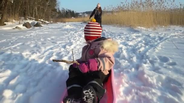 Διασκέδαση χειμώνα, χιόνι, έλκηθρο με σκύλο στο χειμερινή ώρα — Αρχείο Βίντεο