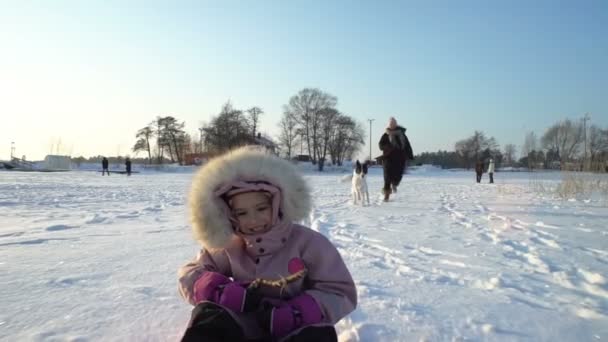 Vinternöje, snö, pulkaåkning med hund på vintern — Stockvideo