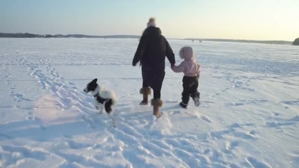 小さな女の子と凍った海、湖の氷の上を走っている犬を持つ若い女性 — ストック動画