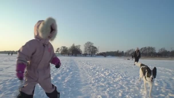 Una bambina che gioca con un cane in una gelida giornata di sole . — Video Stock