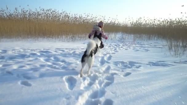 Маленька дівчинка грає з собакою в морозний сонячний день . — стокове відео