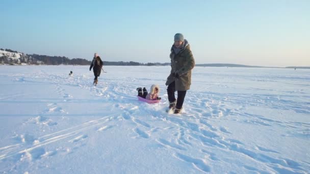 Fun d'hiver, neige, traîneau avec chien à l'heure d'hiver — Video