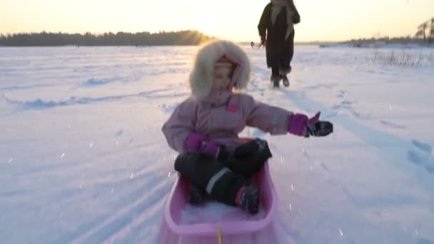 Divertimento invernale, neve, slittino con cane in inverno — Video Stock