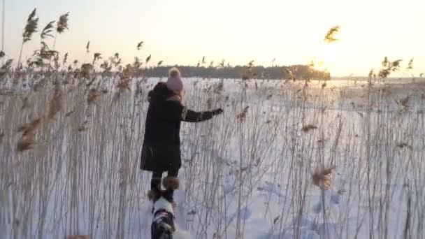 Молода жінка з собакою, що йде серед очерету на пляжі замерзлого моря, озеро — стокове відео