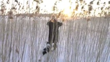 Sazlar arasında donmuş deniz, göl sahilde yürüyen köpek olan kadın