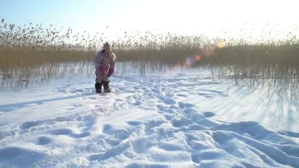 Маленькая девочка играет с собакой в морозный солнечный день . — стоковое видео