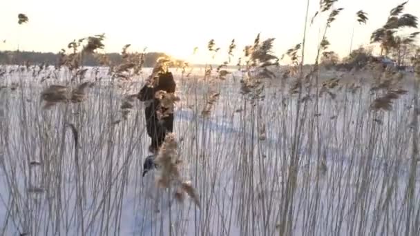 Jovem com cão caminhando entre os juncos na praia do mar congelado, lago — Vídeo de Stock